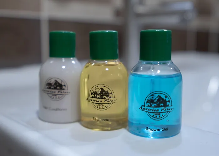 Hotel Austrian Palace